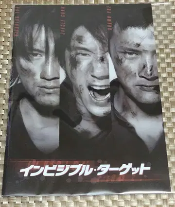 인비저블 타겟 팜플렛
