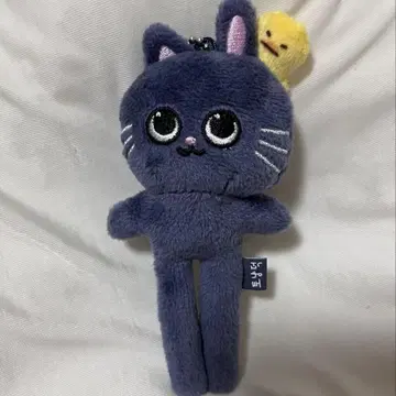 riize 원빈 토냥덕 발길이 키링 봉제 인형