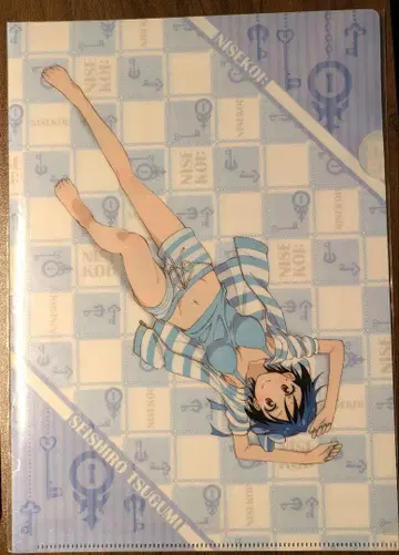 니세코이 츠구미 세이시로 클리어 파일