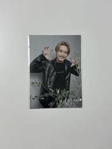 DREAM BOYS 2024 포토 세트 히야마 코세이