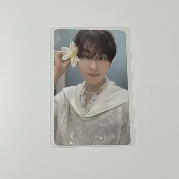 ENHYPEN 정원 트레이딩 카드 혜택
