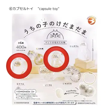 우리 아이 털뭉치 샴고양이 브라운 얼룩 고양이