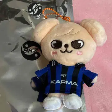 stray kids 스키즈 KARMA SKZOO 퍼핌 승민