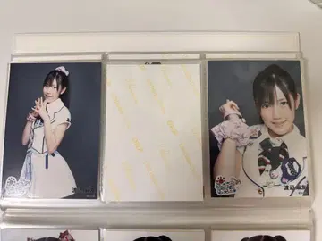 AKB48 와타나베 마유 포니테일과 스크런치 회장 한정판