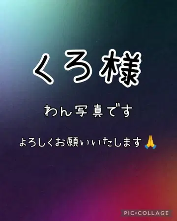 쿠로 님 강아지 사진