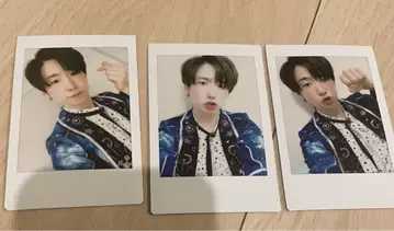 MeseMoa. 변덕쟁이 프린스 폴라로이드