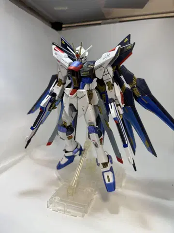 스트라이크 프리덤 건담 MG 건담 프라모델