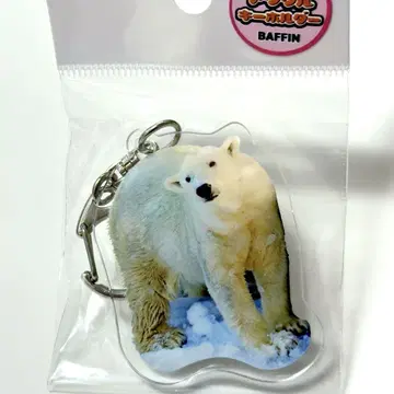 하마마쓰 북극곰 바핀 아크릴 키링