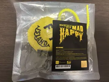 FTISLAND 서울 콘서트 MAD HAPPY 키링