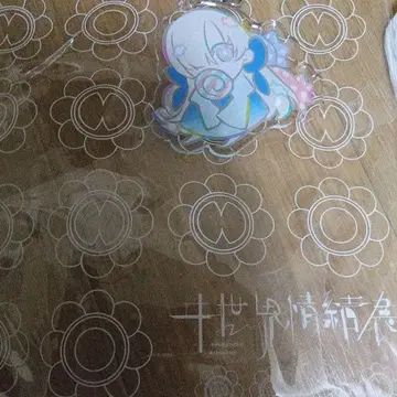 세계정서전 아크릴 키링과 외부 가방