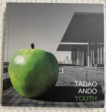 안도 타다오 TADAO ANDO YOUTH 작품집