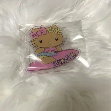 햇볕에 탄 키티 펜꽂이 서핑 키티 산리오 새상품 미사용