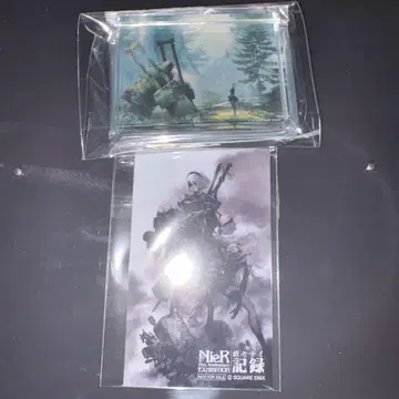 NieR 2B
