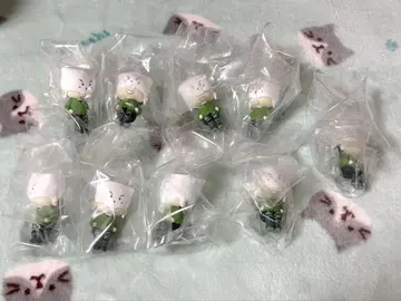 일상계 트라조 스와링코 엔터테인먼트 복권