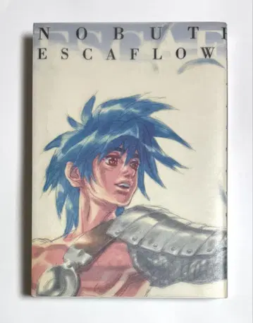 극장판 천공의 에스카플로네 수정 원화집 에스카플로네 팬북 2