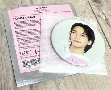 SEVENTEEN CARAT LAND 2023 캔뱃지 정한