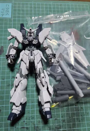 HG 정크제품