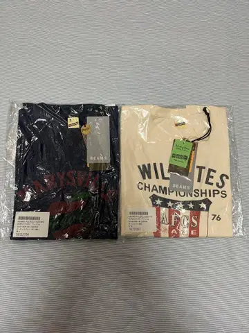 BEAMS PLUS 빔즈 SCREEN STARS T셔츠