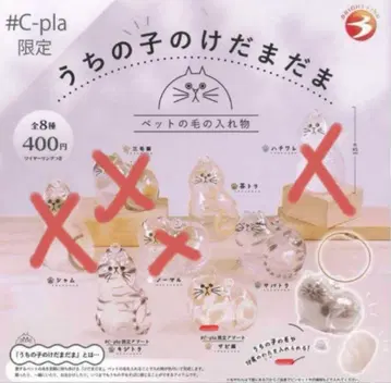 정품 우리 아이의 털뭉치 가챠 c-pla 한정판 4종 세트