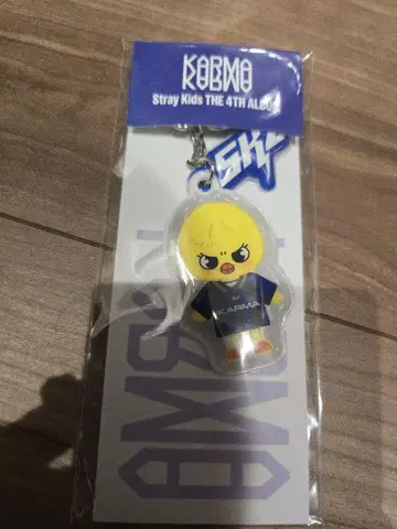 straykids karma 팝업 키링 폭아리