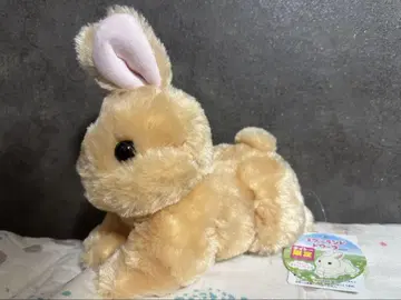 토끼 네덜란드 드워프 봉제 인형 다이토 한정판 새상품급