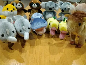 두근두근 숲 애니멀즈 봉제 인형 8종 12개 세트