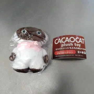 카카오캣 모후모후 봉제 인형 샴 #C-pla 한정판 CACAOCAT