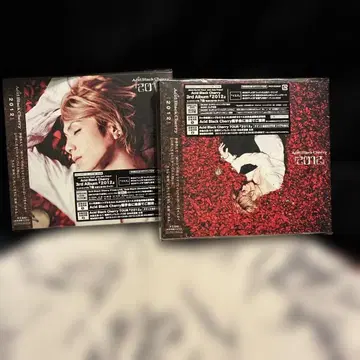 Acid Black Cherry/2012/초회판 CD+DVD/2종