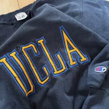 90s champion reverse weave