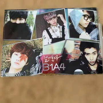 B1A4 콜라주 디자인 클리어 파일