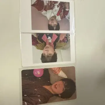판다드래곤 나기 해피카 트레이딩 카드 폴라로이드