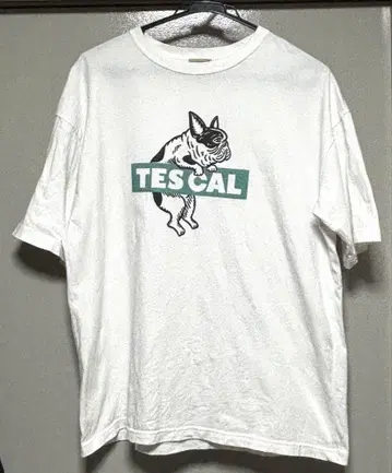 TES CAL BOX LOGO 빅 실루엣 반팔 T