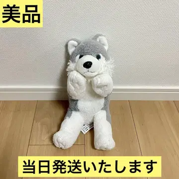 [ 새상품급 당일 발송 ] 허스키견 봉제 인형 토이저러스 한정판