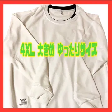 트레이너 남성용 긴팔 둥근넥 레이어드 스타일 가을옷 4XL
