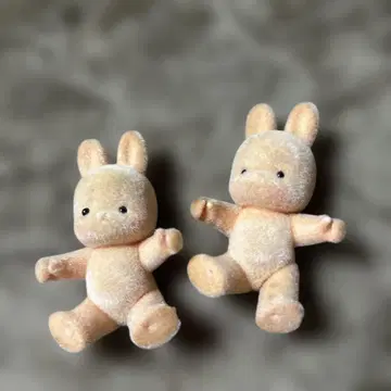 3학년 2반 친구들 토끼 2마리