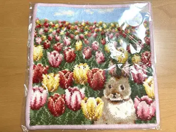 페일러 토끼