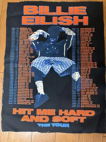 Billie Eilish 천 포스터 2025 빌리 아이리쉬