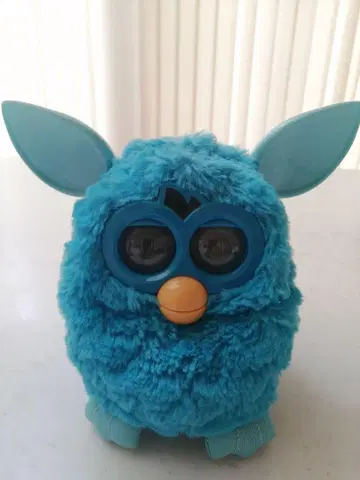 퍼비 블루
