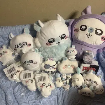 치이카와 모몽가 묶음 판매
