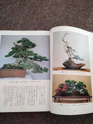 분재 본질과 감상, 수형 만들기 레어 도서 BONSAI