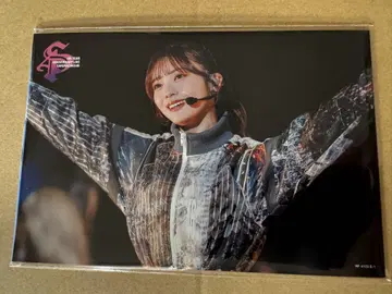 사쿠라자카46 4th YEAR LIVE 엽서 세트 미개봉 타무라 호노