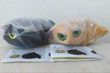 낯을 가리는 고양이 봉제 인형, 친정 고양이, 공원 고양이