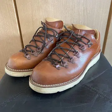 Danner MOUNTAIN RIDGE LOW CRISTY D-4013