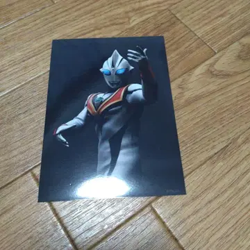 이블 티가 브로마이드 우루페스 한정판 굿즈