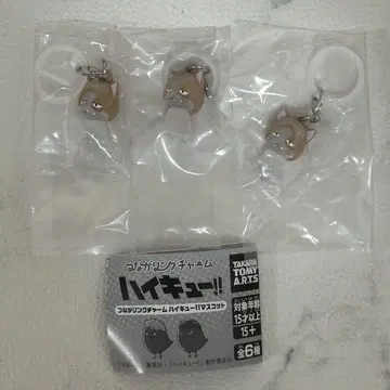 이어지는 링 참 하이큐!! 마스코트 켄마 고양이 x 3 연마