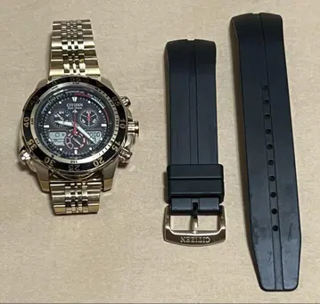 시티즌 에코 드라이브 프로마스터