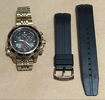 시티즌 에코 드라이브 프로마스터