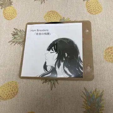 의 CD 청춘의 잔향