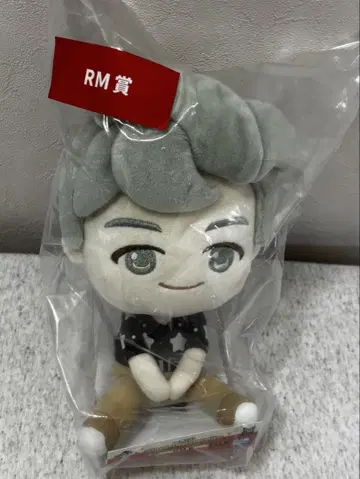 BTS TinyTAN 1번 복권 RM 봉제 인형