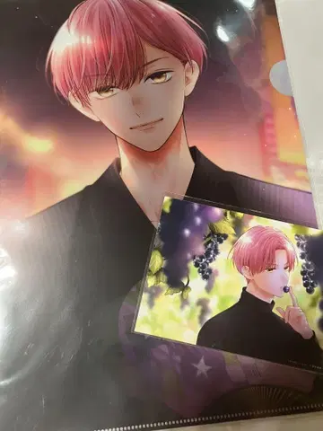 핑크와 하바네로 굿즈